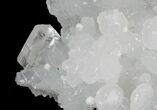 Apophyllite Crystals and Gyrolite on Prehnite - India #44368-1